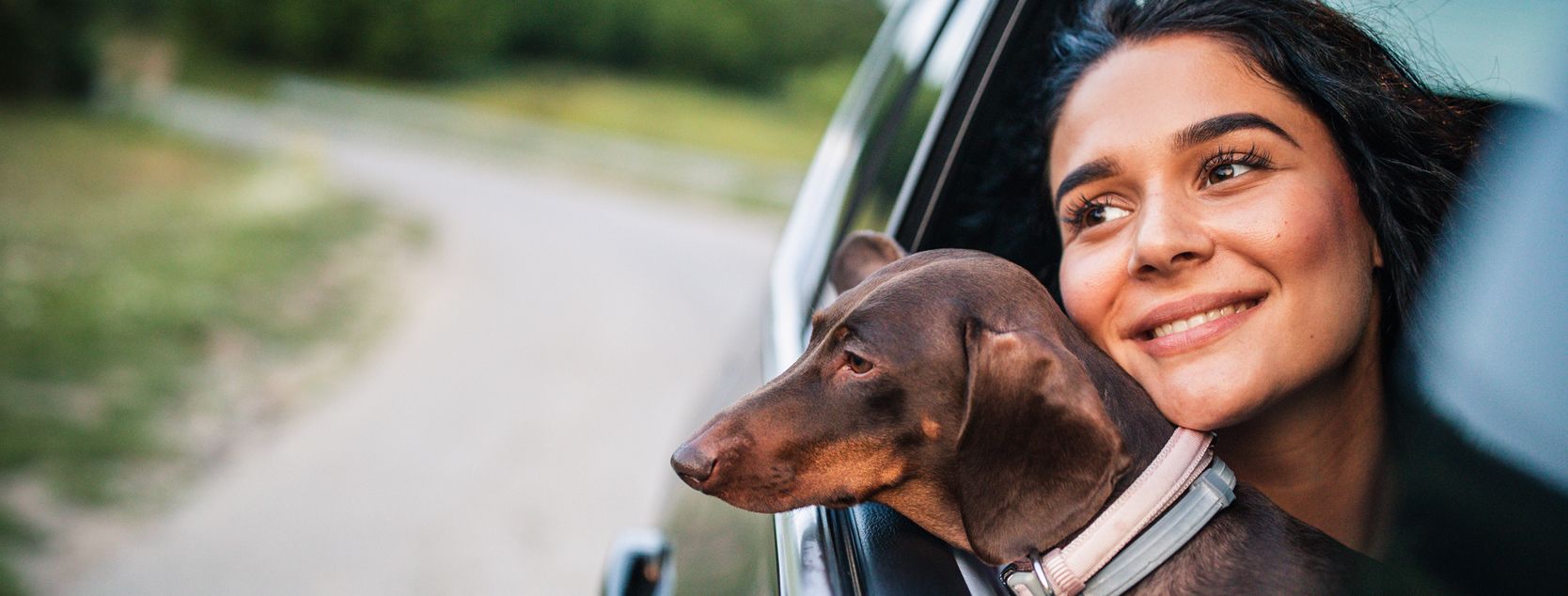 A Patelco member and her dog look out a car window.